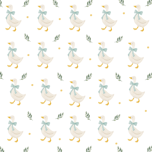 Vinilo OCAS LAZO (frente 30 cm)