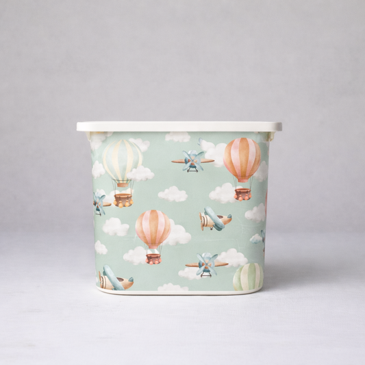 Vinilo GLOBE SKY (frente 30 cm)